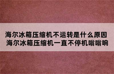 海尔冰箱压缩机不运转是什么原因 海尔冰箱压缩机一直不停机嗡嗡响